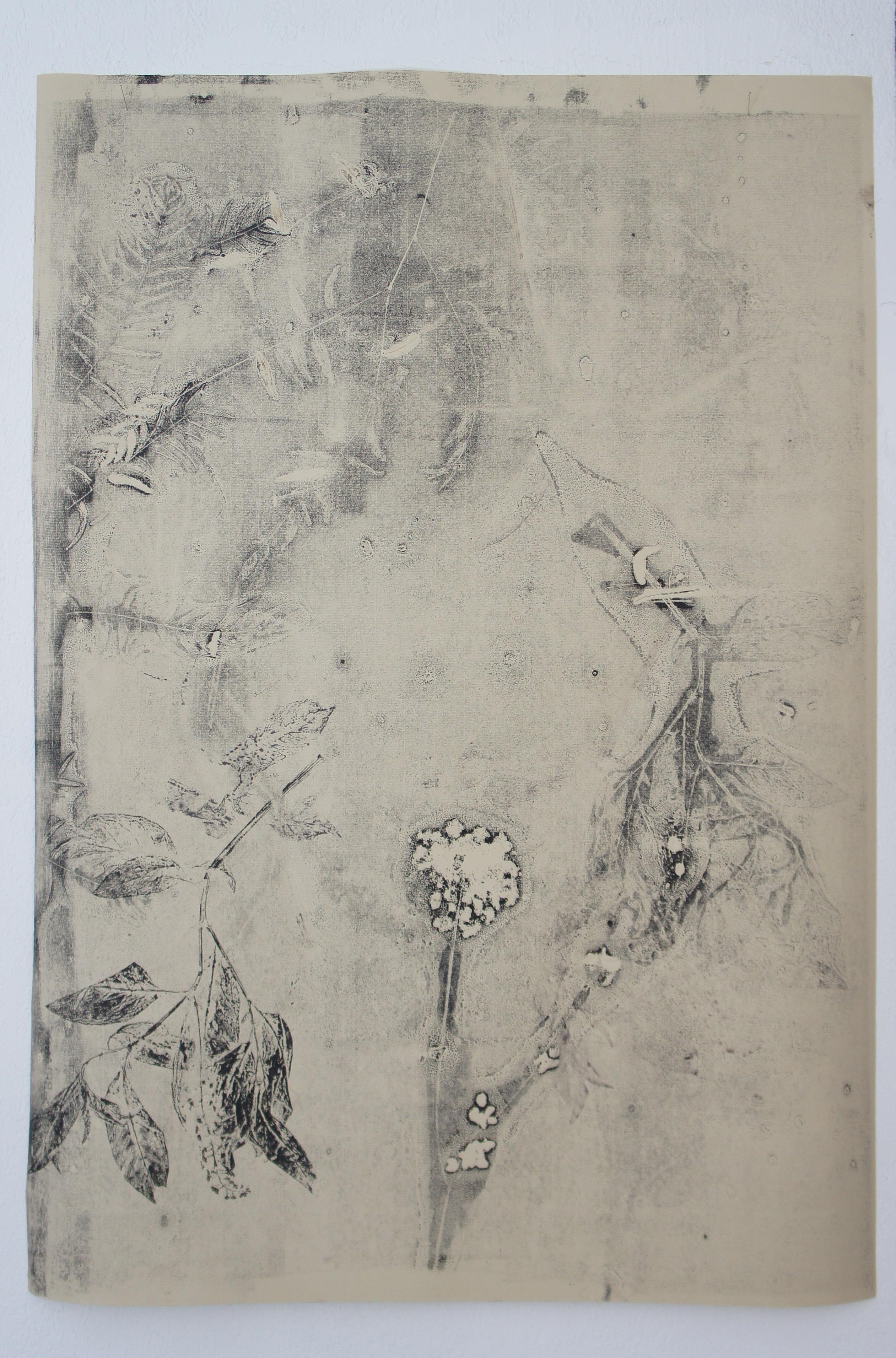 Eve Pietruschi, Monotype sur papier,120x80 cm. Image