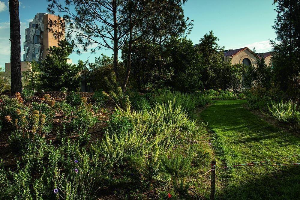 Le parc aménagé et végétalisé s’offre un peu de fraîcheur. / © Luma Image