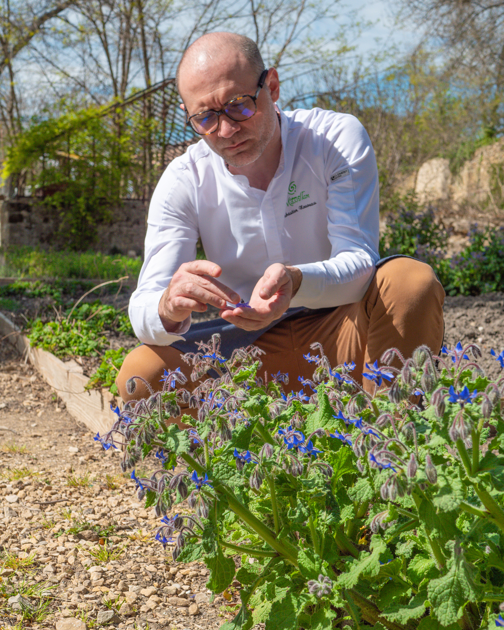 Pierfranco Ferrara s’inspire dans le potager. © Fabien Mercier Image
