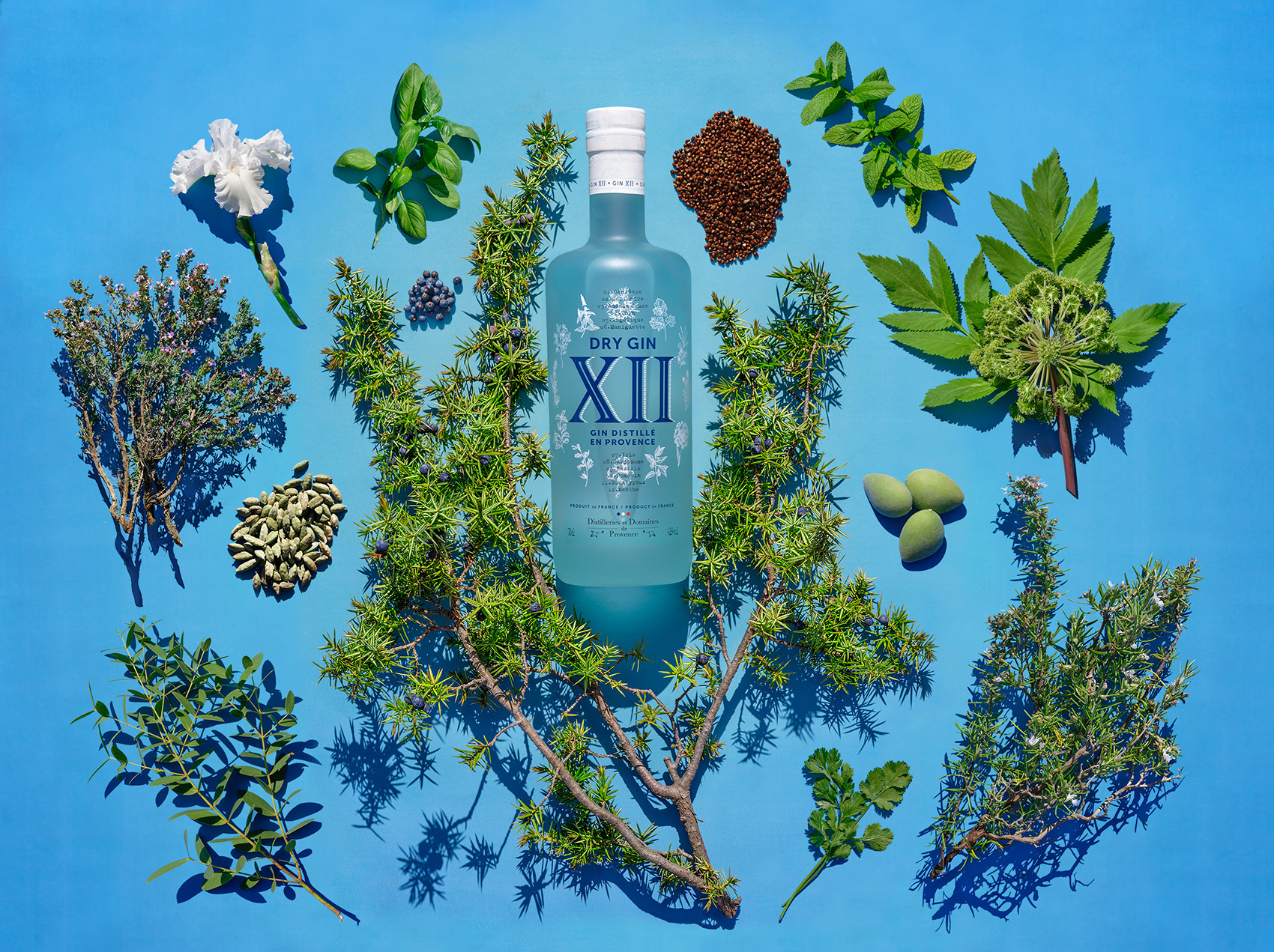 Le Gin XII au flaconnage soigné comme un écrin © Distilleries de Provence Image