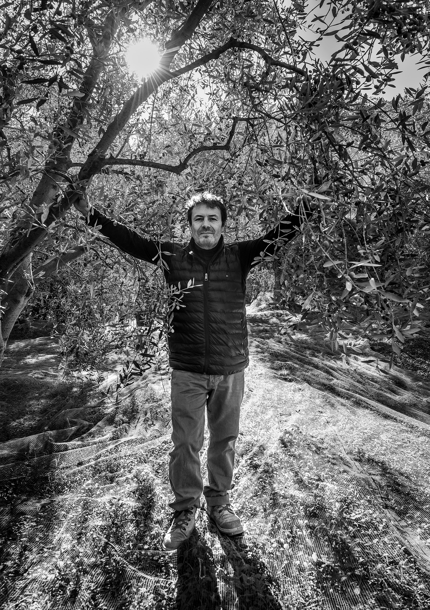 Photo Jean-Michel Sordello Image