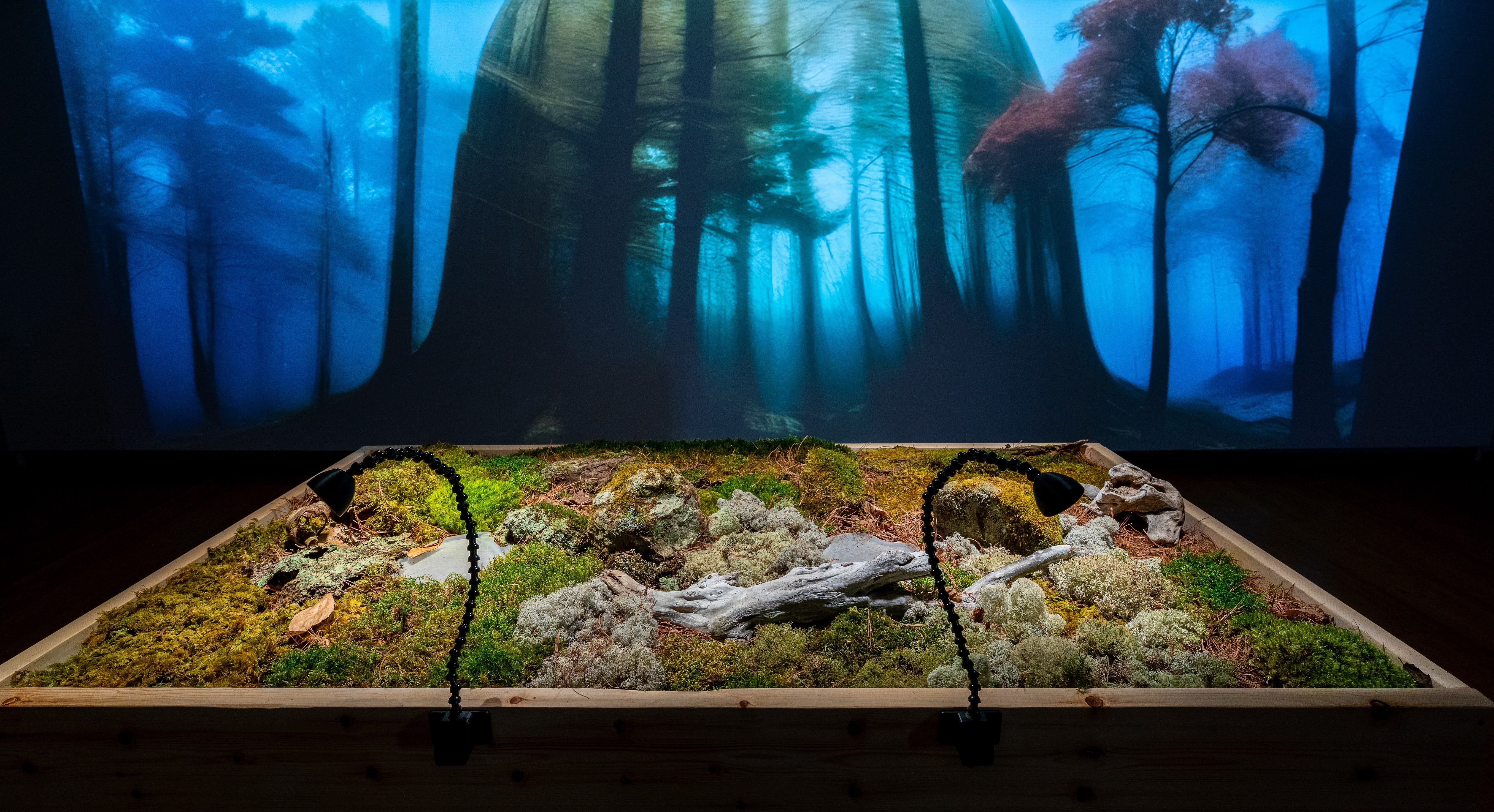 Exposition Territoires olfactifs de Léa Harim. © Michel Julien Image