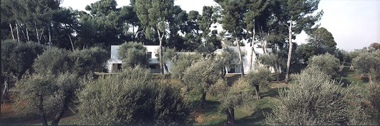Hartung-Bergman.jpg