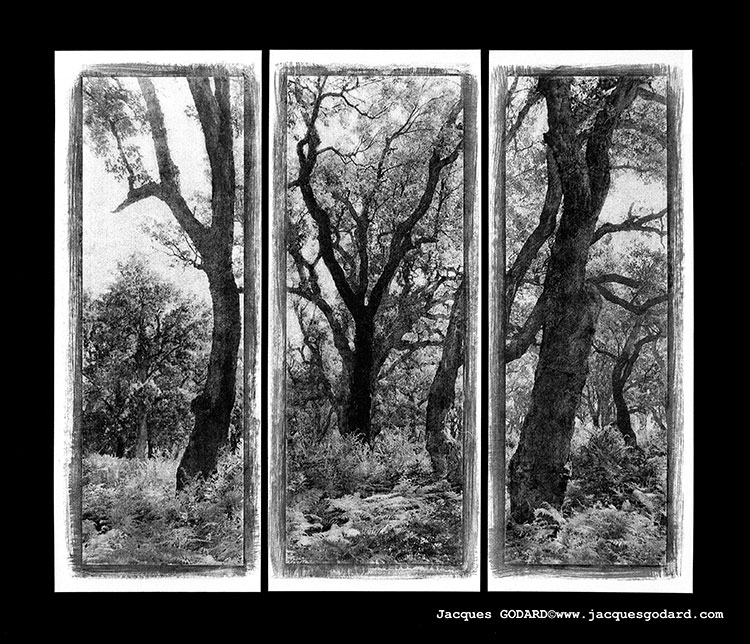 Jacques Godard triptyque