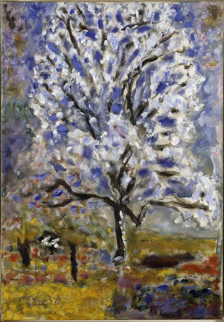 Musée Bonnard Amandier en fleurs Adagp