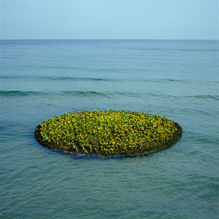 NILS UDO Mille jonquilles 1994 Courtesy Galerie Pierre Alain Challier Paris