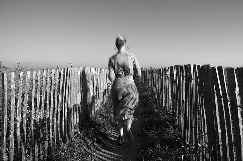 Paloma-galerie-Sauvage.jpg