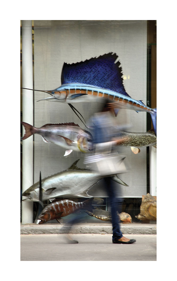 Poissons davril