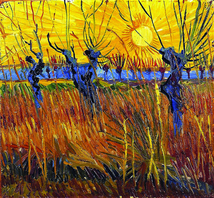Saules tetards au coucher de soleil 1888