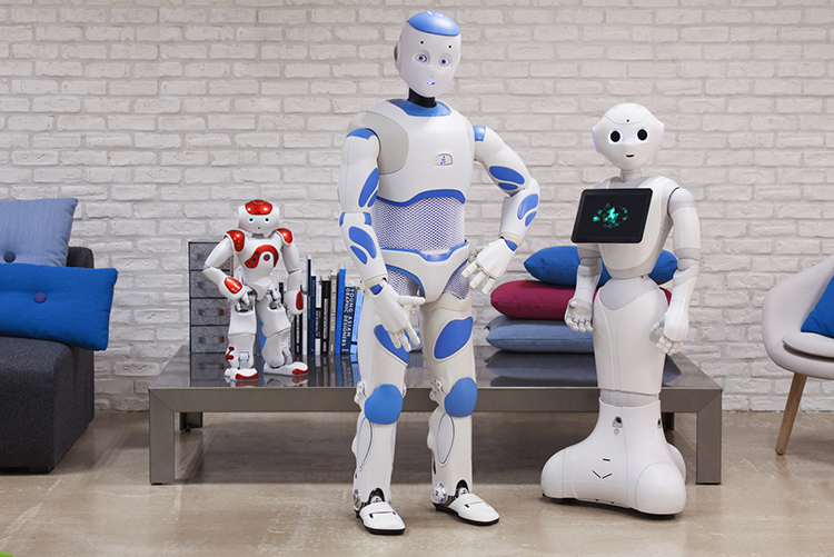 adoptez un robot 2