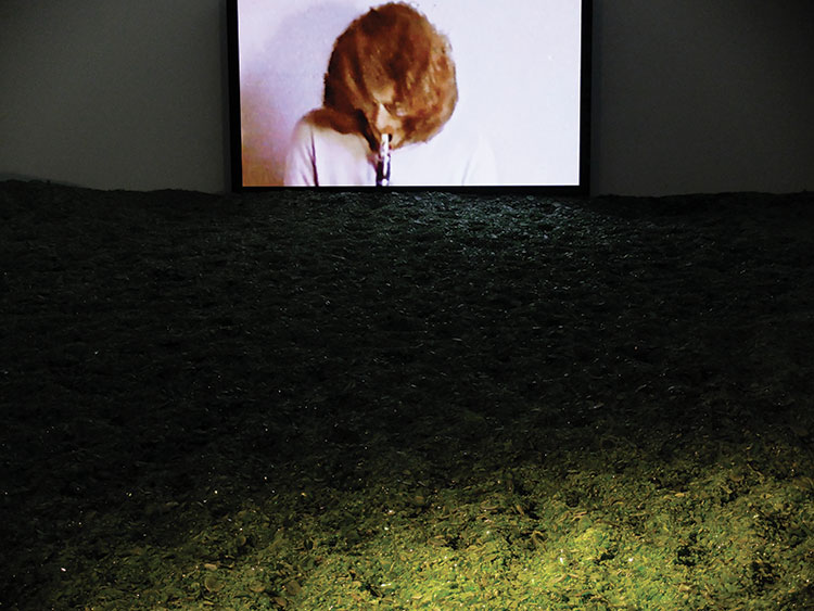 alfredo Jaar MAC