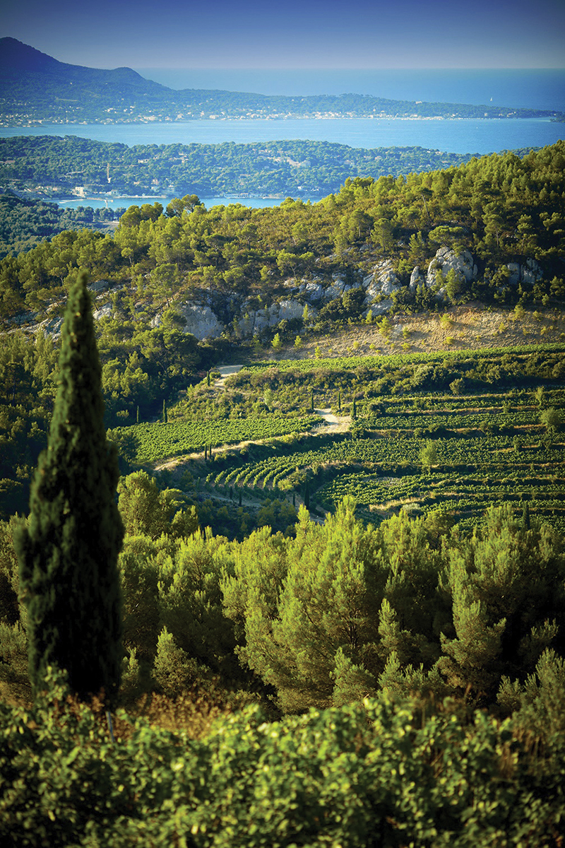 bandol-amphitheatre.jpg
