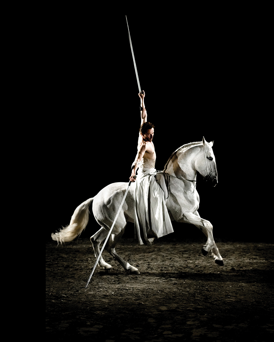 biennale-cirque-.jpg