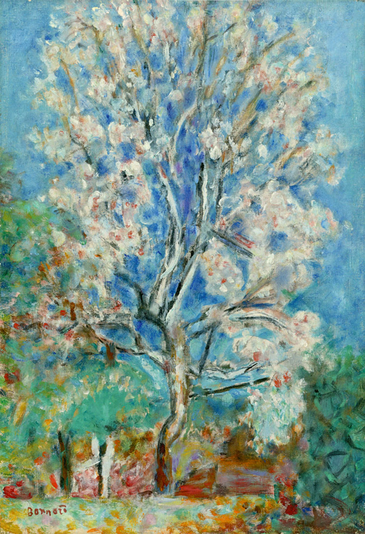 bonnard lAmandier