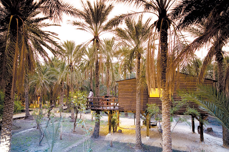diar abou habibix
