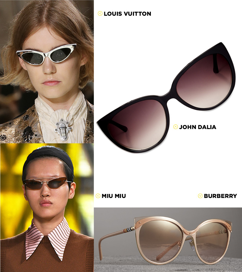 lunette_juillet.jpg