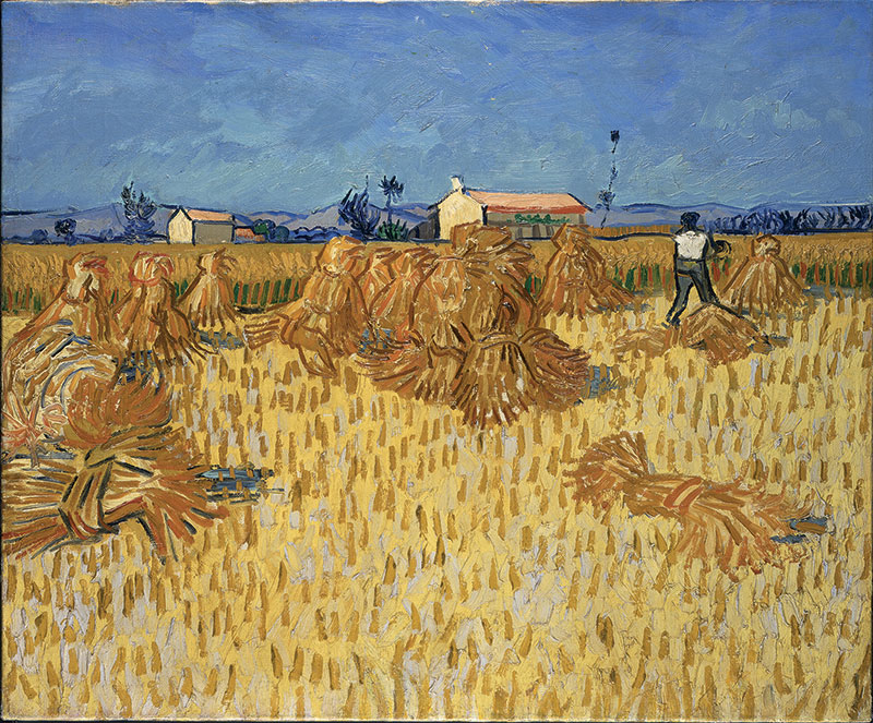 Vincent van Gogh Moissonenprovence 1888