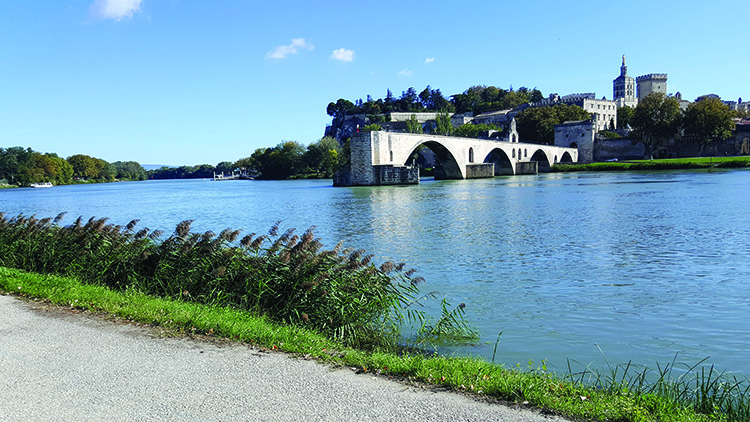 pont avignon
