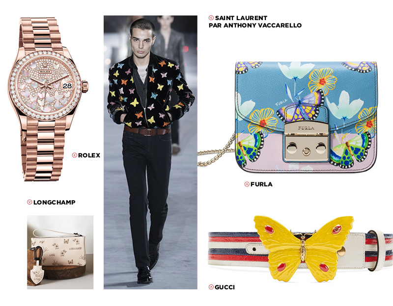 trend_papillon.jpg