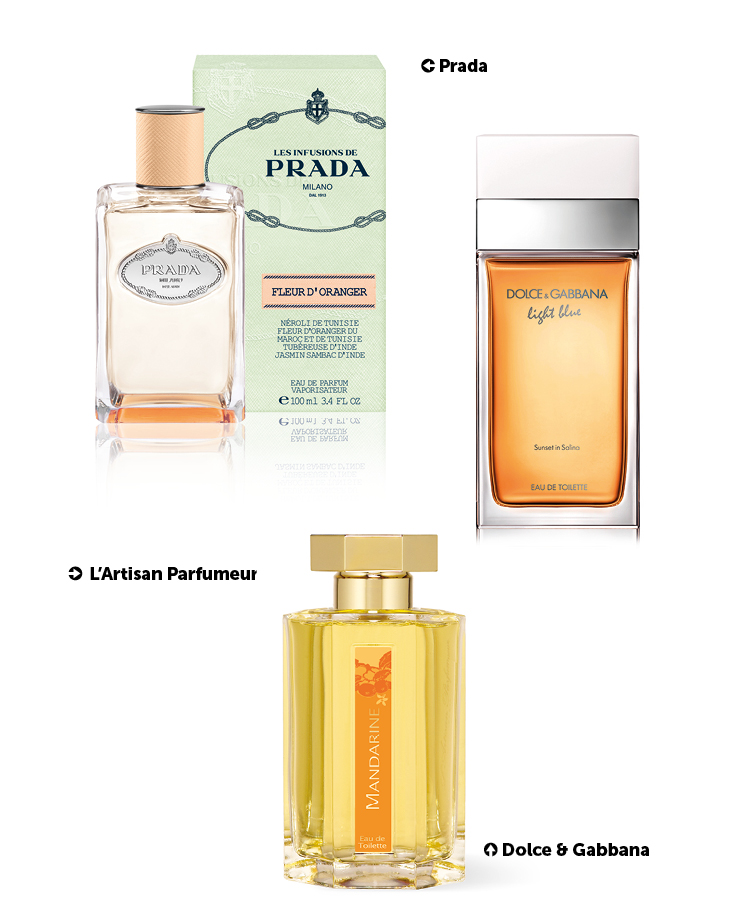 trendy parfums juillet