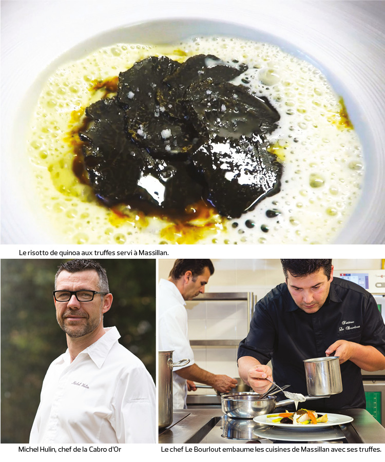truffes decembre 2016