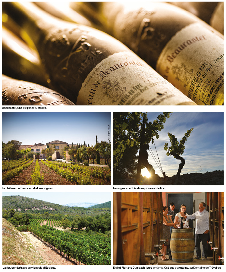 vin decembre