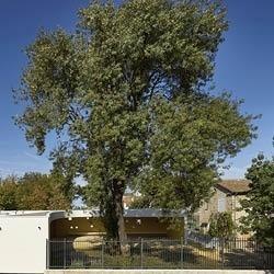 Maison de l’enfance au parc de la ferme Giaume