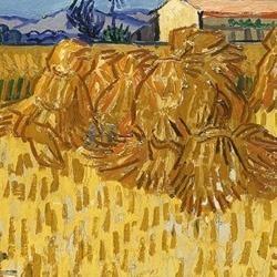 Fondation Van Gogh