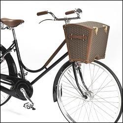 La petite reine au sommet !