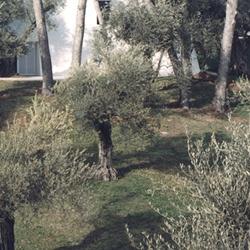 Fondation Hartung-Bergman