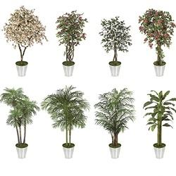 Plantez le bon décor !