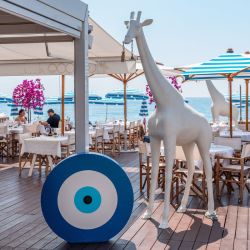 Cocoon Beach