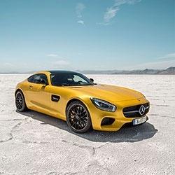 En avant les muscles !