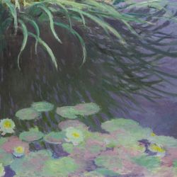 Monet en pleine lumière