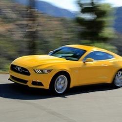 En avant les muscles !