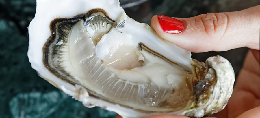 Un plateau de fruits de mer de chez Espuma