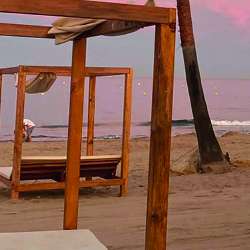 Sensei Festival 2022