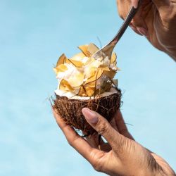 Kube Saint-Tropez x Moloko