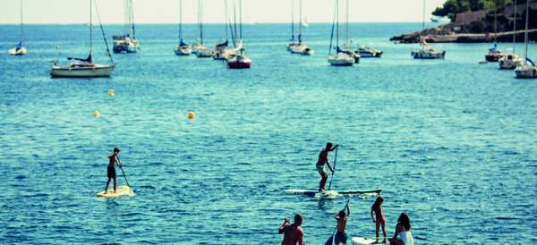 Vivre le Festival le plus attendu de la saison