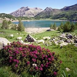 Vallée du Haut Verdon
