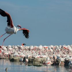 Une Provence 4 saisons