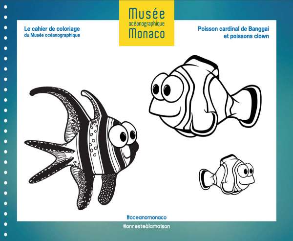 Utilisez le cahier de coloriage du Musée Océanographique de Monaco pour bien démarrer le mois d’avril