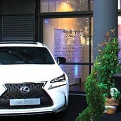 Lexus automobiles