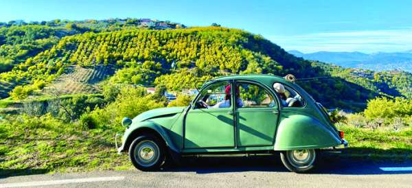 Une balade vintage dans le mimosa