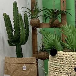 Boho Concept Store