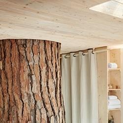 The Holy Tree Old Course Wellness