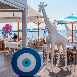 Cocoon Beach