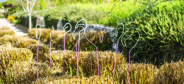 Bernard Briançon aux Jardins du MIP Mouans Sartoux