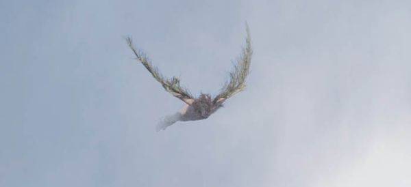 Faire, nager, s’envoler à la Gaya Scienza à Nice