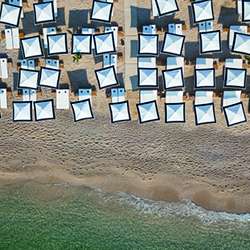 Sous les palmiers, la plage